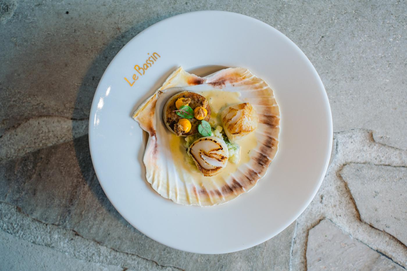 Sint- Jacobsvrucht | boudin de mer ( witte pens ) | fregola | courgette  | chorizomayonaise | krokante ui 