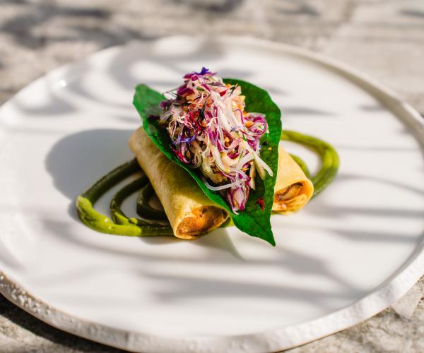 Noordzee loempia’s - kimchi noedelsalade - pinda Thaise basilicum dressing 