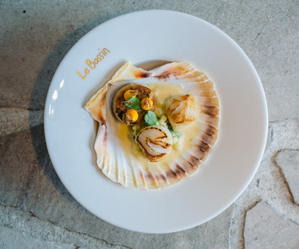 Sint- Jacobsvrucht | boudin de mer ( witte pens ) | fregola | courgette  | chorizomayonaise | krokante ui 